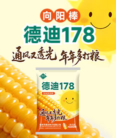 德州市德农种子有限公司