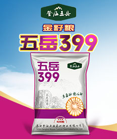 泰安登海五岳泰山种业有限公司