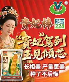 河北华丰种业开发有限公司