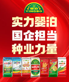 河北婴泊种业科技有限公司