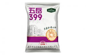 五岳399