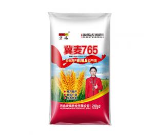 冀麦765 A