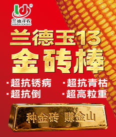 河北兰德泽农种业有限公司