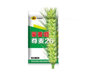 尊麦26
