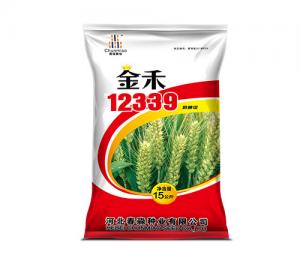 金禾12339