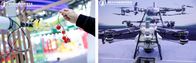 2026IRID国际乡村发展创新博览会