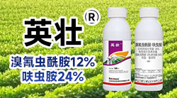 山东百信生物科技有限公司