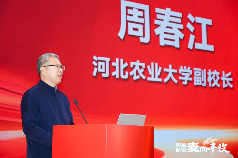 四新助农麦向丰收一2026小麦单产提升启动会 周春江