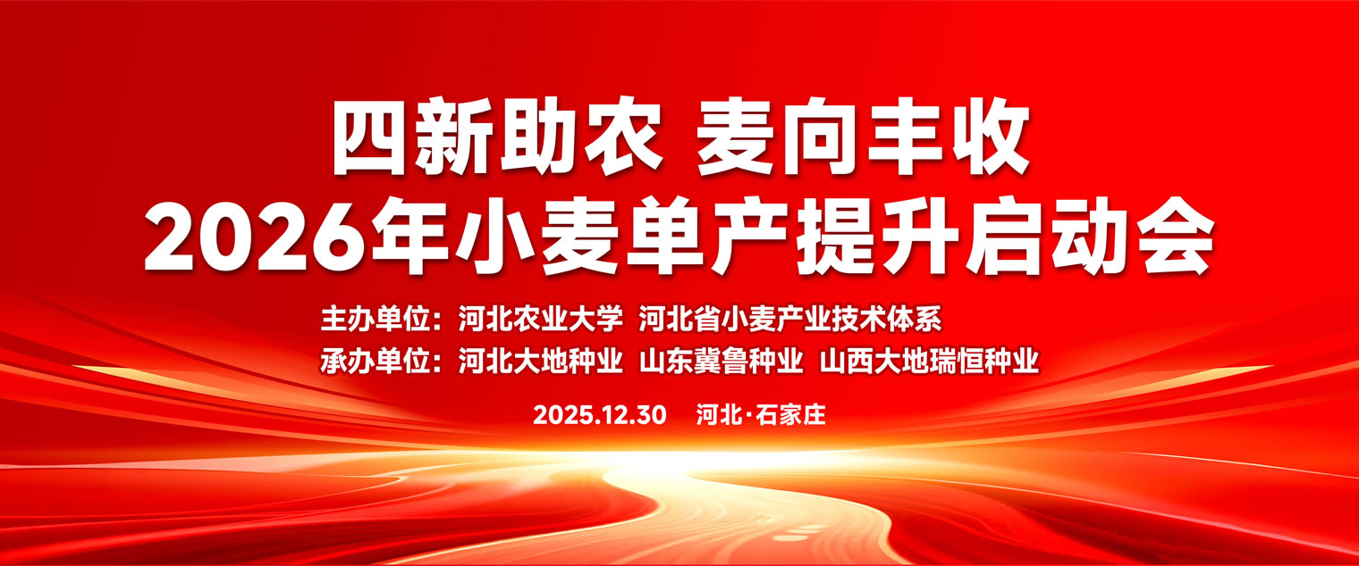 四新助农麦向丰收一2026小麦单产提升启动会