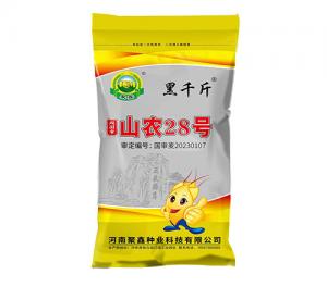 黑千金-山农28小麦种子