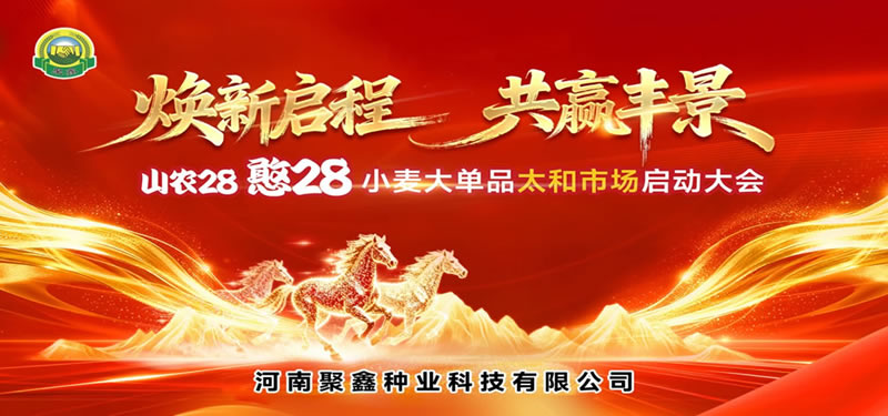 山农25 憨28小麦大单品太和市场启动大会