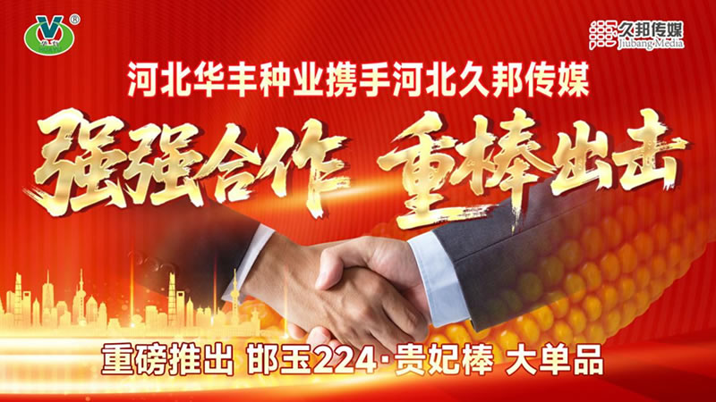 华丰种业久邦传媒