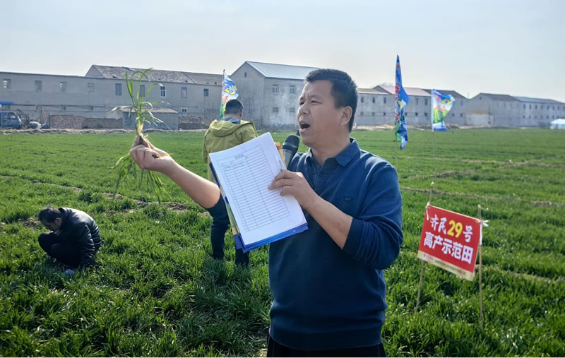 邱县波留固海涛<a href='https://www.nongwosi.com/' target='_blank' style='color:blue'>农资</a>门市老板
