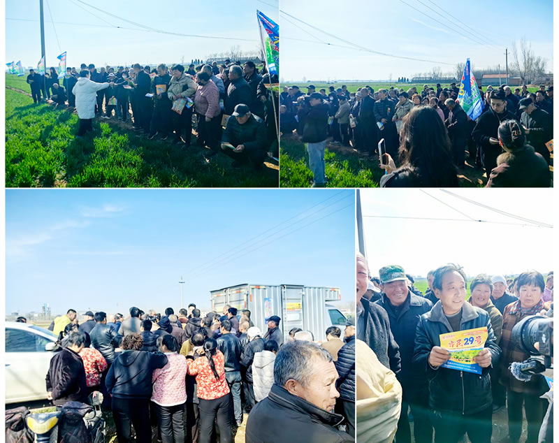 观摩会火爆盛况