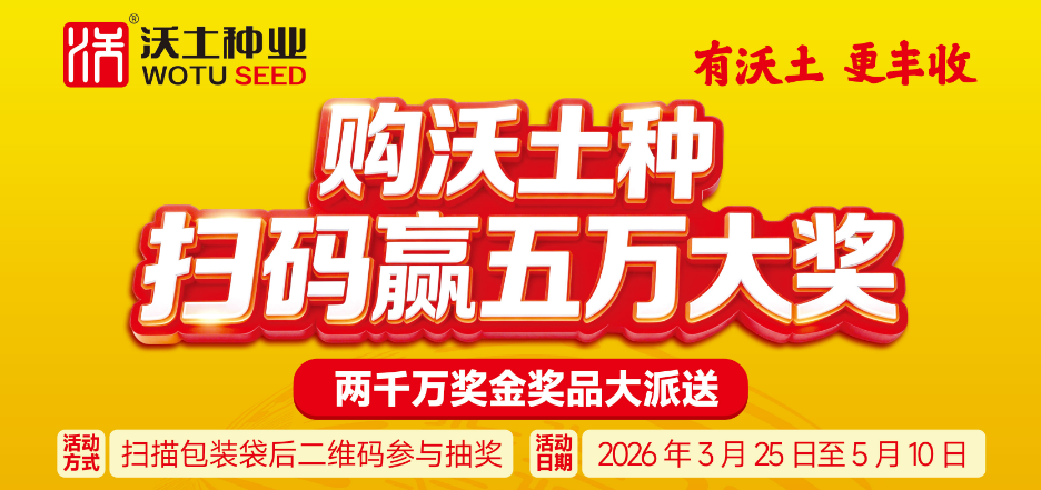 二千万奖金奖品大派送