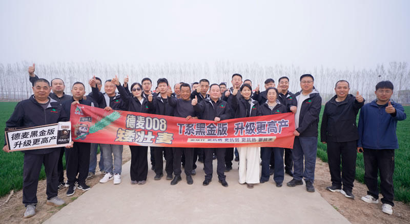 经销商地块观摩