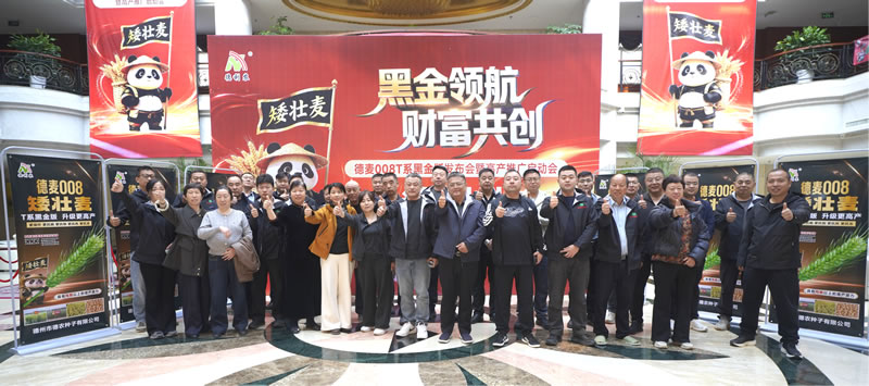 活动圆满成功