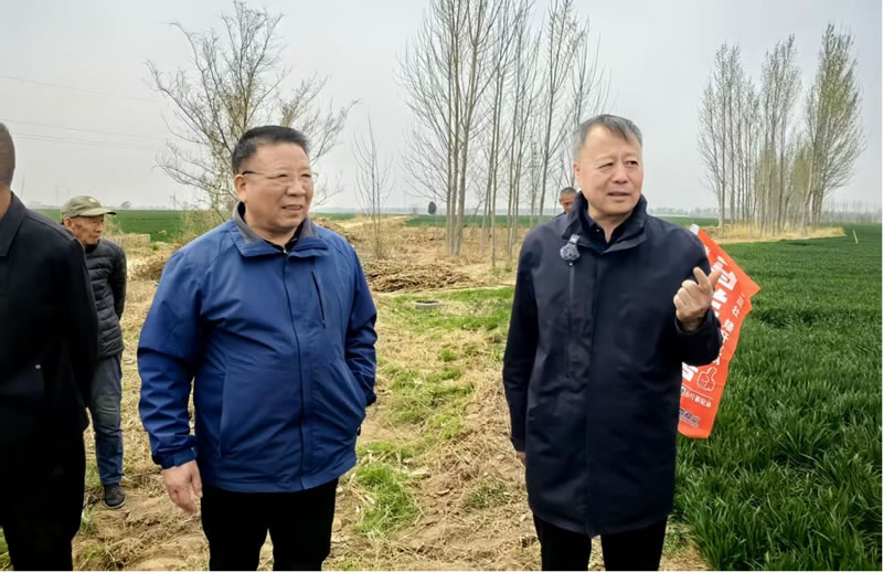 四新助农 麦向丰收 帮大哥携手马兰1号四新助农公益行动走进邢台