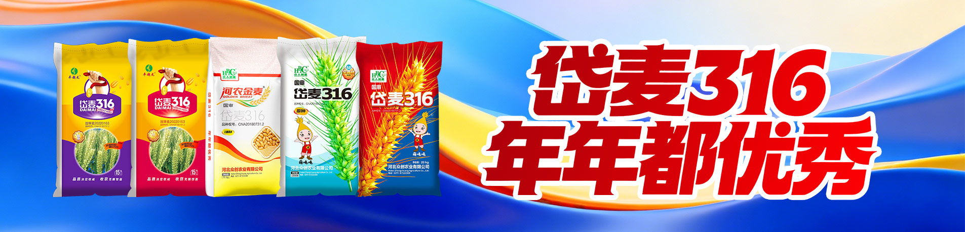 岱麦316，年年都优秀