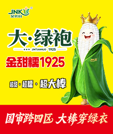 金甜糯 1925 金农科种子