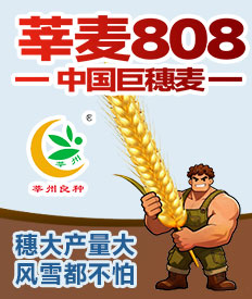 山东莘州种业有限公司