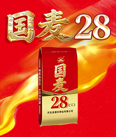 河北省冀科种业有限公司