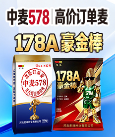河北宏瑞种业有限公司