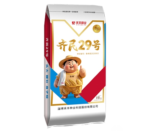 齐民29号