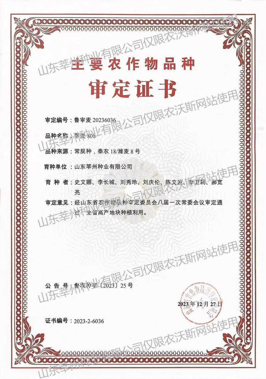 莘麦808审定证书