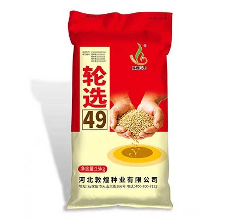 轮选49