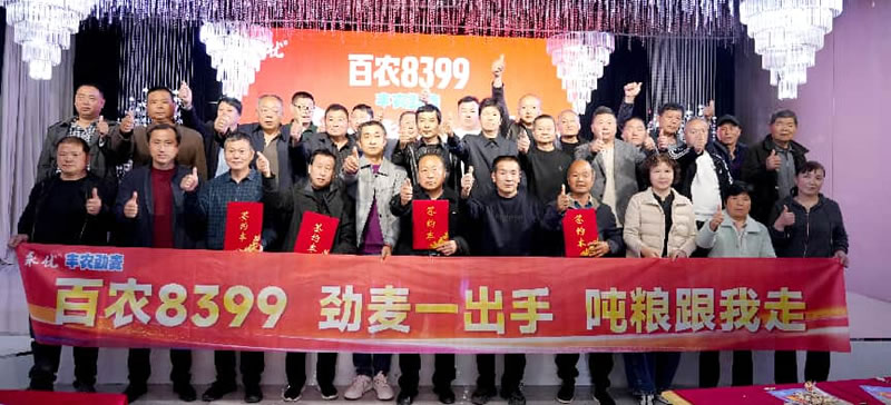 永优种业2026 年百农 8399 丰农劲麦阜阳市场启动会 永优种业2026 年百农 8399 丰农劲麦阜阳市场启动会