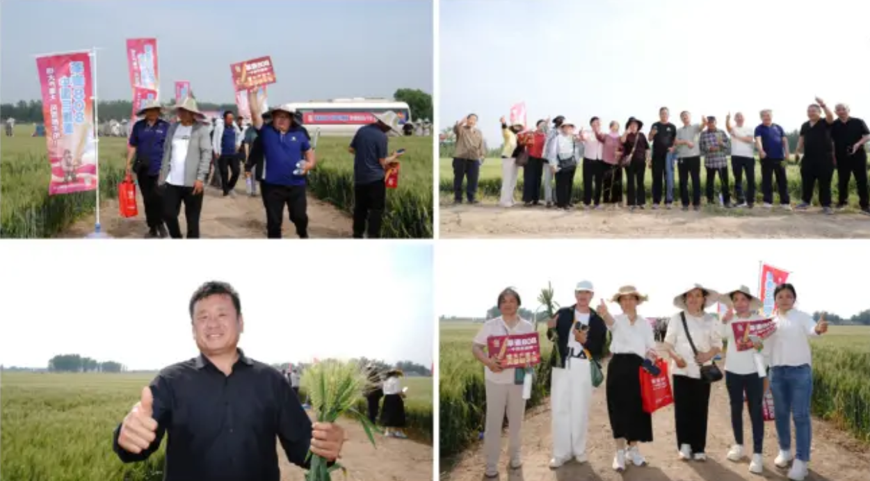 微信图片_2026-05-15_094914_030.png
