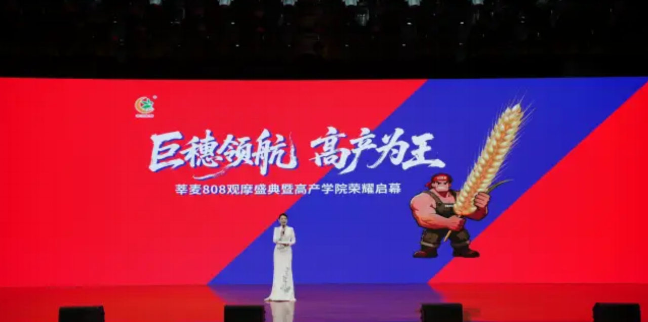 微信图片_2026-05-15_144416_862.png