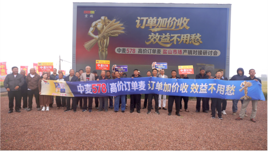 订单加价收 效益不用愁——中麦578高价订单麦深耕盐山盐碱地，铺就订单增收路！