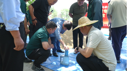 现场火爆!中麦7152实打验收亩产816.6公斤!优质强筋麦打破“不高产”魔咒 现场火爆!中麦7152实打验收亩产816.6公斤!优质强筋麦打破“不高产”魔咒