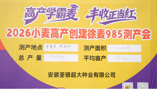 徐麦985亩产816.6公斤 刷新阜南小麦高产纪录 徐麦985亩产816.6公斤 刷新阜南小麦高产纪录