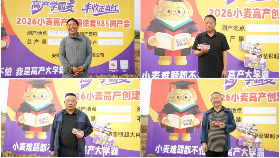 徐麦985亩产816.6公斤 刷新阜南小麦高产纪录 徐麦985亩产816.6公斤 刷新阜南小麦高产纪录