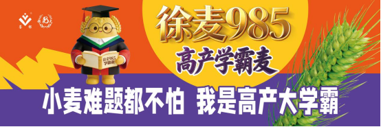 徐麦985亩产816.6公斤 刷新阜南小麦高产纪录 徐麦985亩产816.6公斤 刷新阜南小麦高产纪录