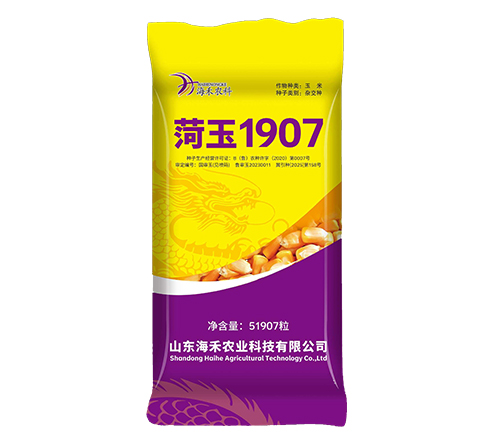 菏玉1907-山东海禾农业科技有限公司 菏玉1907-山东海禾农业科技有限公司