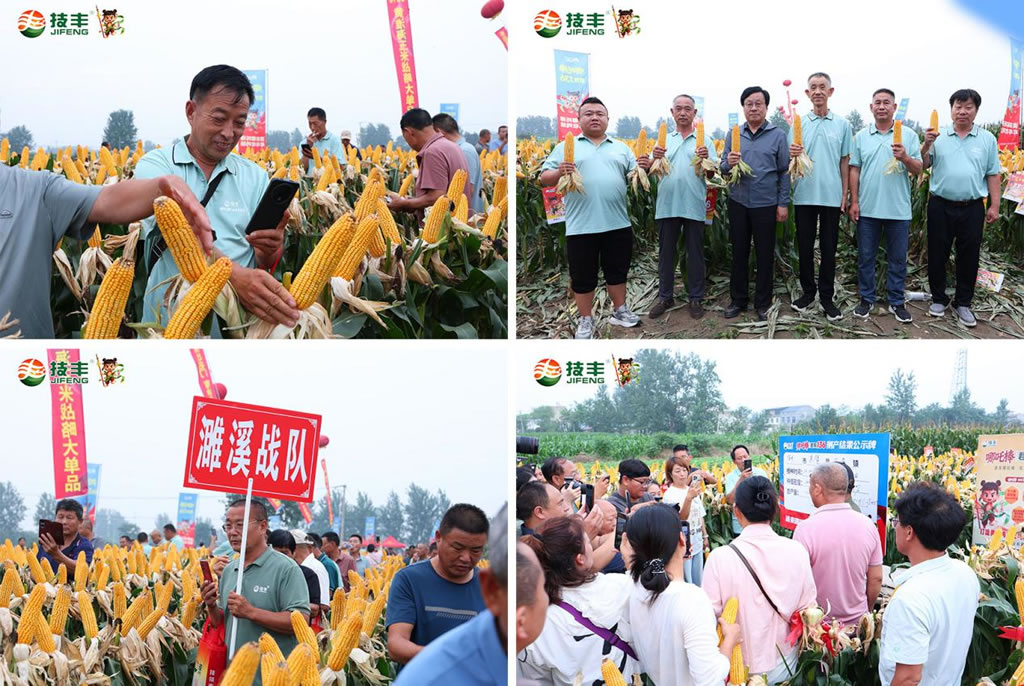 1784595277284294.jpg 1784595277284294.jpg