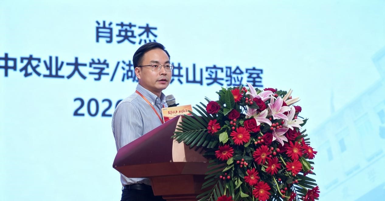 华中农业大学肖英杰教授 华中农业大学肖英杰教授