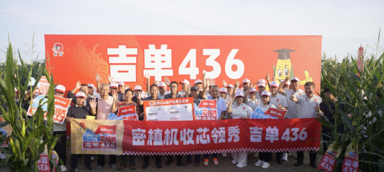 深耕密植新赛道，领航机收新征程！吉单 436 立足东华北，重塑春玉米格局，开启密植机收新时代！