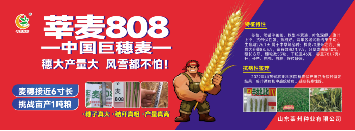 1787384035867805.png