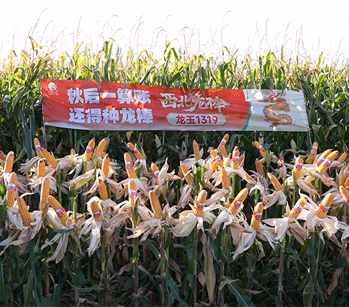 1790127603803536.jpg 微信图片_20260922151431.jpg