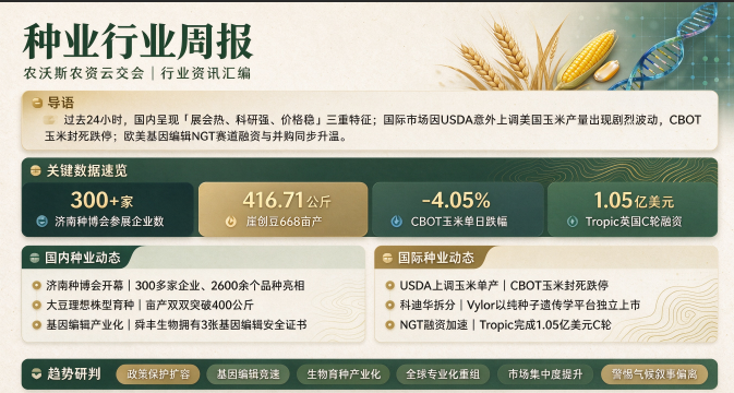 10月11日日报.png 10月11日日报.png