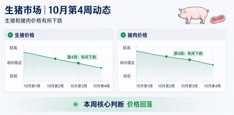 生猪市场｜10月第4周生猪和猪肉价格有所下跌
